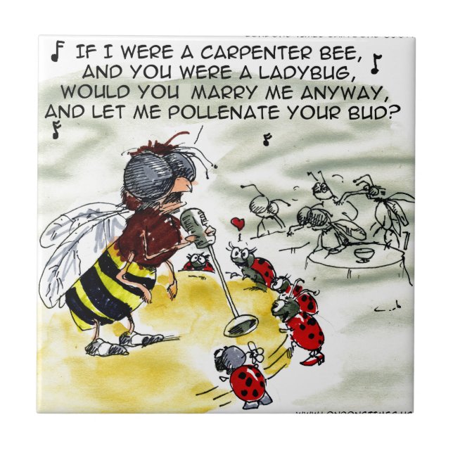 Cantores de Boate Noturna de Insetos Engraçados (Frente)