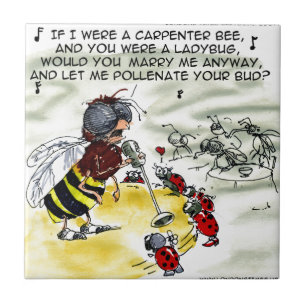 Cantores do Insect Nightclub Engraçados