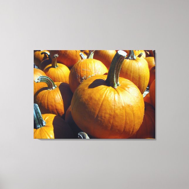 Canvas (Frente)