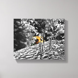 Canvas 10x8 do peekaboo do tigre