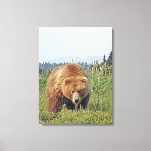 canvas 12x24 (Brilho) com urso pardo