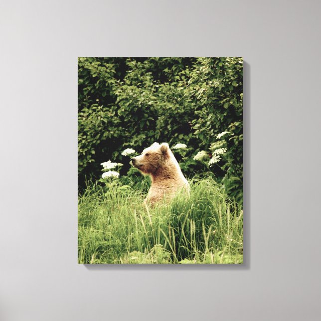 canvas 16x20 (Brilho) com urso pardo (Frente)