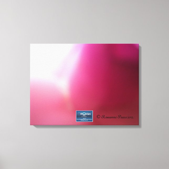 Canvas 2 (SoftRose) SDCs ©️ 2012 (Frente)