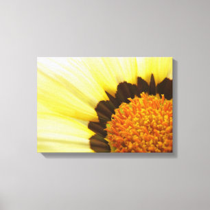 Canvas amarelas da flor