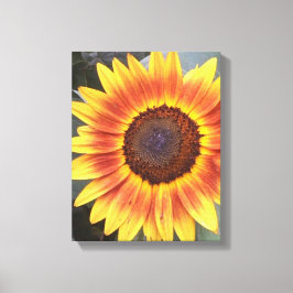Canvas Amarelo N Laranja