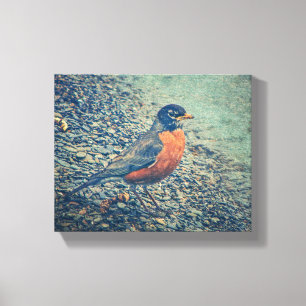 Canvas Americana Robin Bird