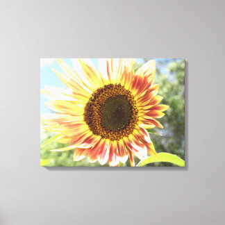 CANVAS ART