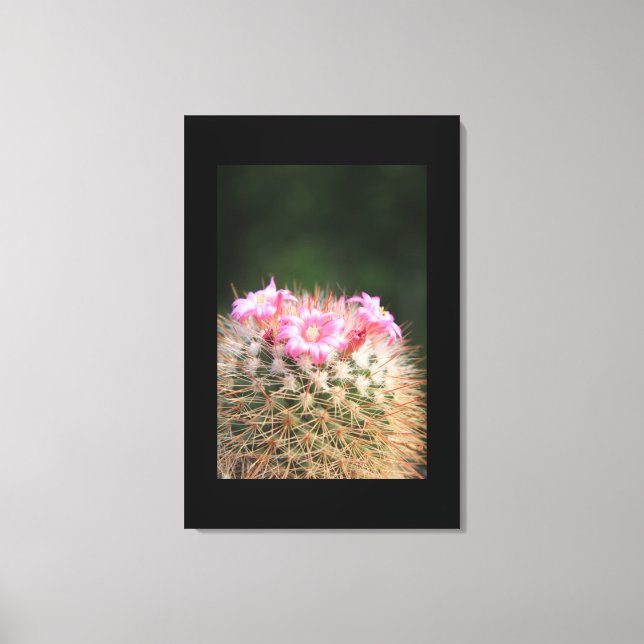 Canvas Art-Cactus (Frente)