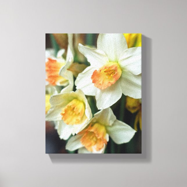 Canvas Art Daffodils (Frente)