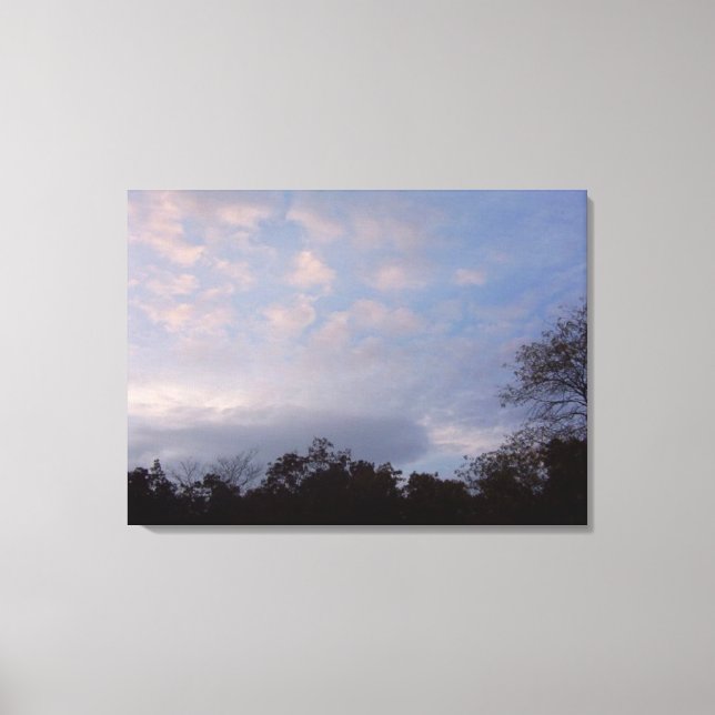 Canvas Art do Missouri (Frente)