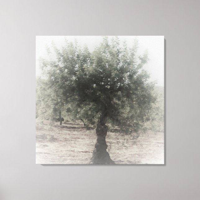 CANVAS ART E DESIGN WALL (Frente)