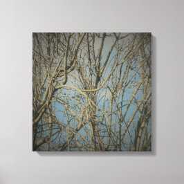 CANVAS ART E DESIGN WALL