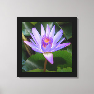 Canvas Art-Lotus Flower