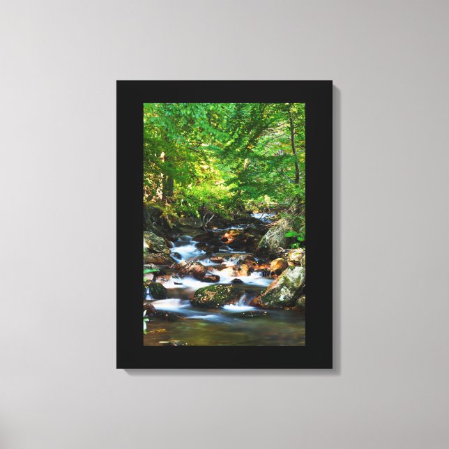 Canvas Art-Waterfall (Frente)