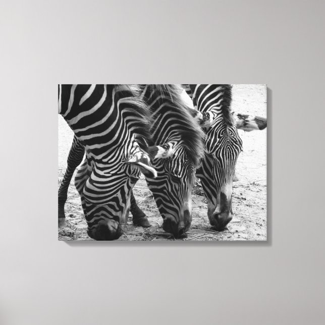 Canvas Art-Zebras (Frente)
