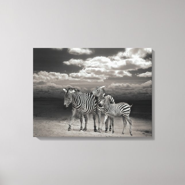 Canvas Art-Zebras (Frente)