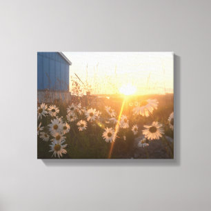 canvas árticas do por do sol