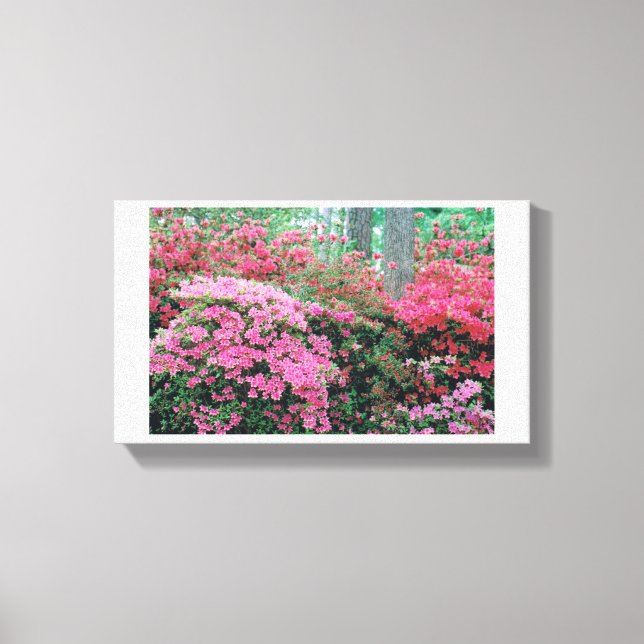 Canvas Azalea (Frente)