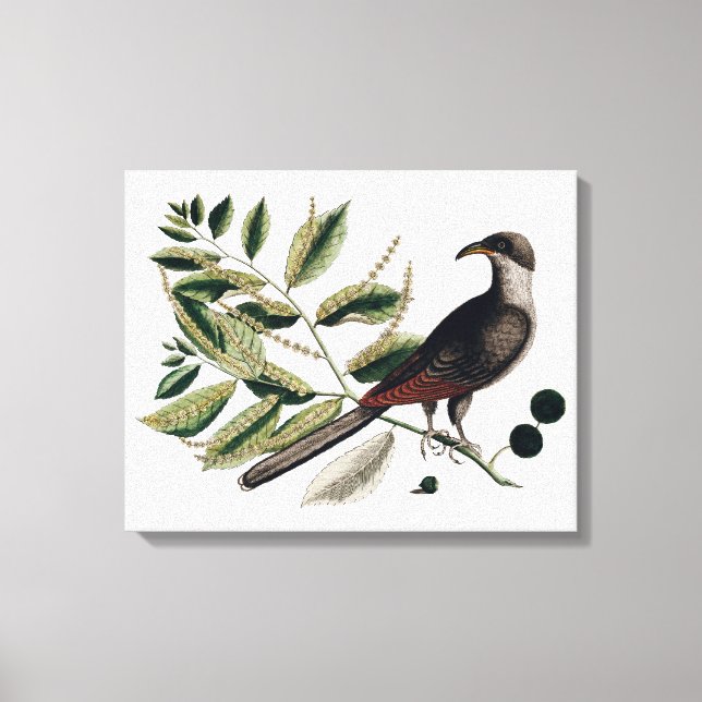 Canvas botânica de aves de capoeira (Frente)