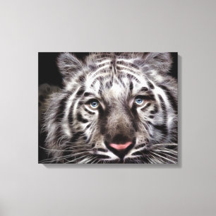 Canvas branca Tigre
