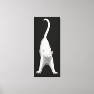 Canvas brancas de esticão felizes do gato