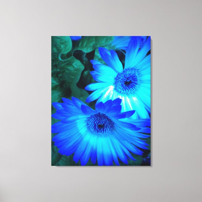 Canvas Brilliant Blue Daisies (Frente)