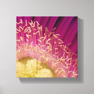 Canvas Center da flor