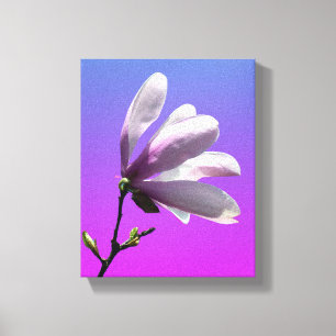 Canvas Colorida Magnolia
