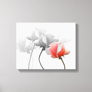 Canvas com Rosas Pretas e Brancas, Uma Rosa