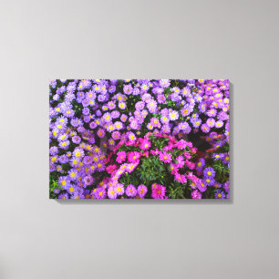 Canvas cor-de-rosa roxas azuis da flor da mãe