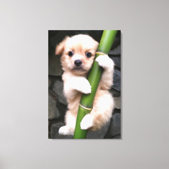 Canvas Cute Puppy Gaejook 개죽이  (Frente)
