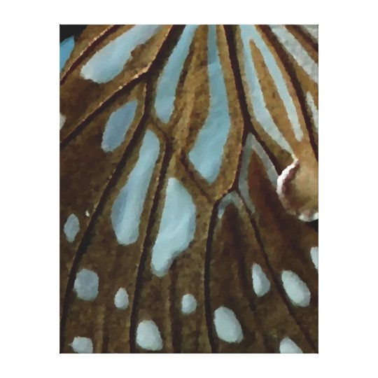Canvas da arte da borboleta de Brown azul