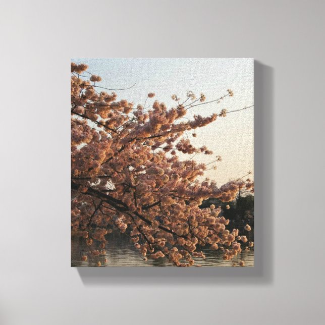 Canvas da árvore de flores de cereja (Frente)