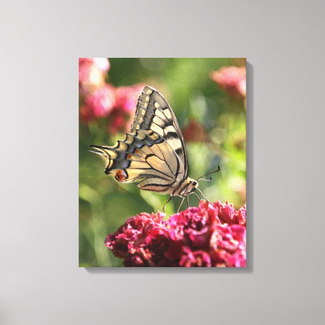 Canvas da Borboleta do Swallowtail Amarelo (Frente)