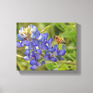 Canvas da foto do Bluebonnet e da abelha