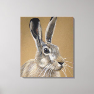 Canvas da lebre