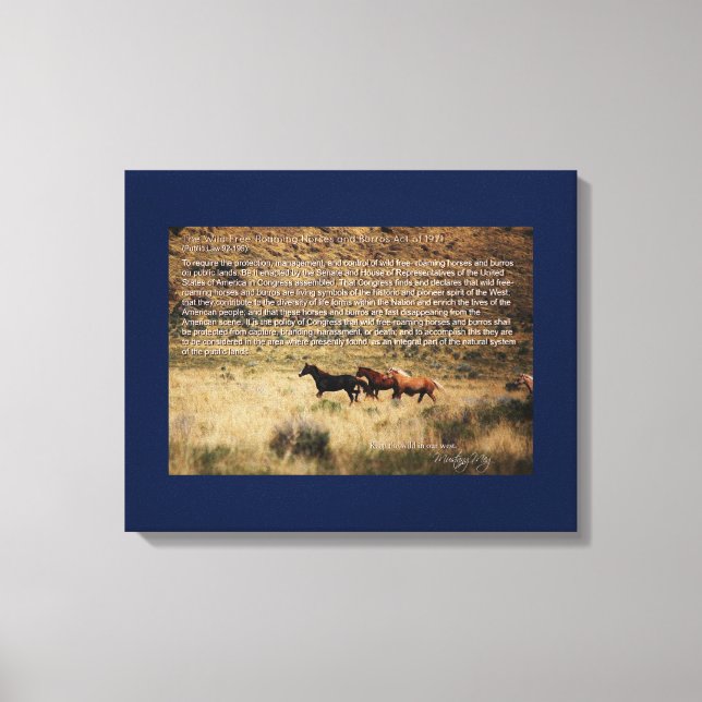 canvas da Lei de 1971 sobre Cavalos e Burros de Ro (Frente)