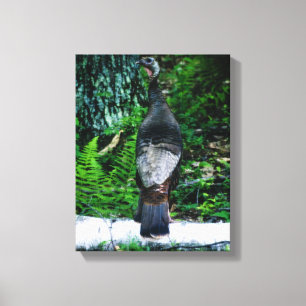 Canvas da Mãe Turquia