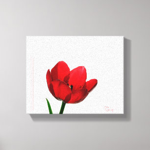 Canvas da tulipa