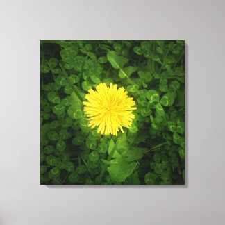 Canvas Dandelion