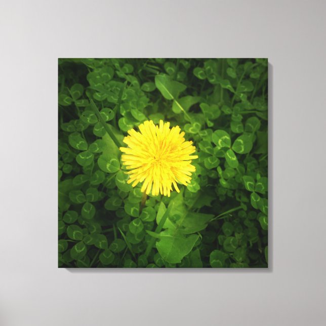 Canvas Dandelion (Frente)
