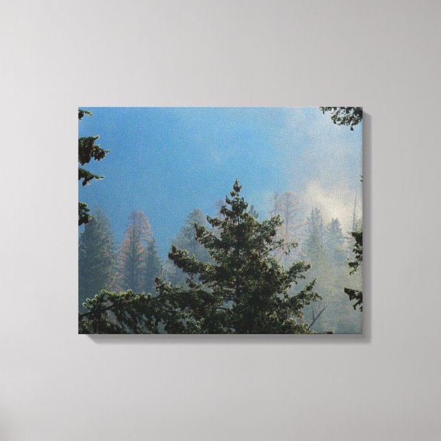 Canvas das árvores (Frente)