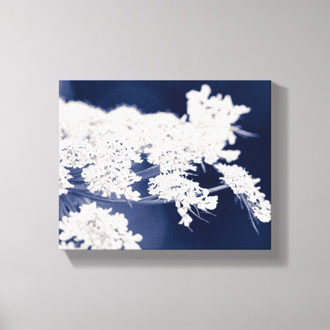 Canvas das flores da rainha Anne (Frente)