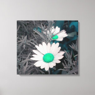 Canvas das margaridas (w/Green)