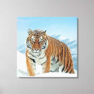 Canvas das Montanhas do Tigre Natural da Neve Inve
