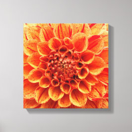 canvas de 12" x 12" - Flor Laranja