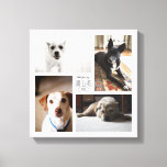 Canvas de 4 Fotografias da Pet da Família Personal<br><div class="desc">Capture as memórias do ano em um impressão quadrado personalizável com quatro de suas fotos favoritas,  nome e ano.</div>