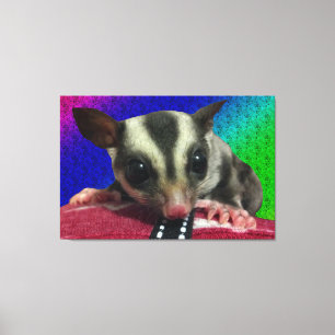 Canvas de Açúcar Jovem
