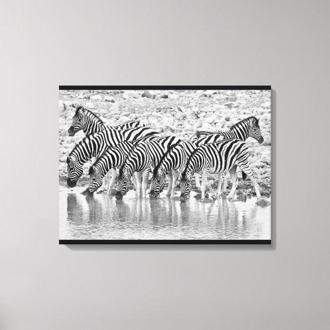 Canvas de Agrupamento Africano de Zebra Branca Neg (Frente)