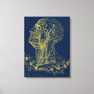 Canvas de anatomia da cabeça e do pescoço